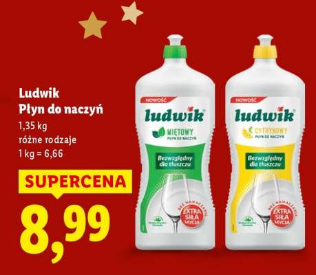 LUDWIK Płyn do naczyń