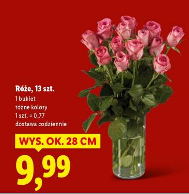 Róże, 13 szt.
