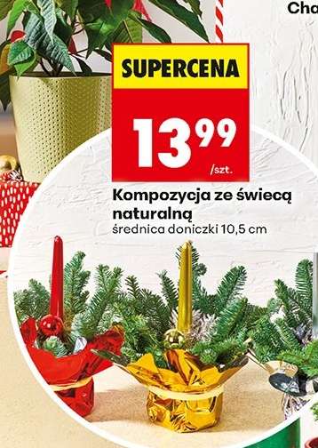 Kompozycja ze świecą naturalną