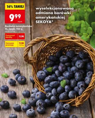 Borówka amerykańska XL, opak. 150 g
