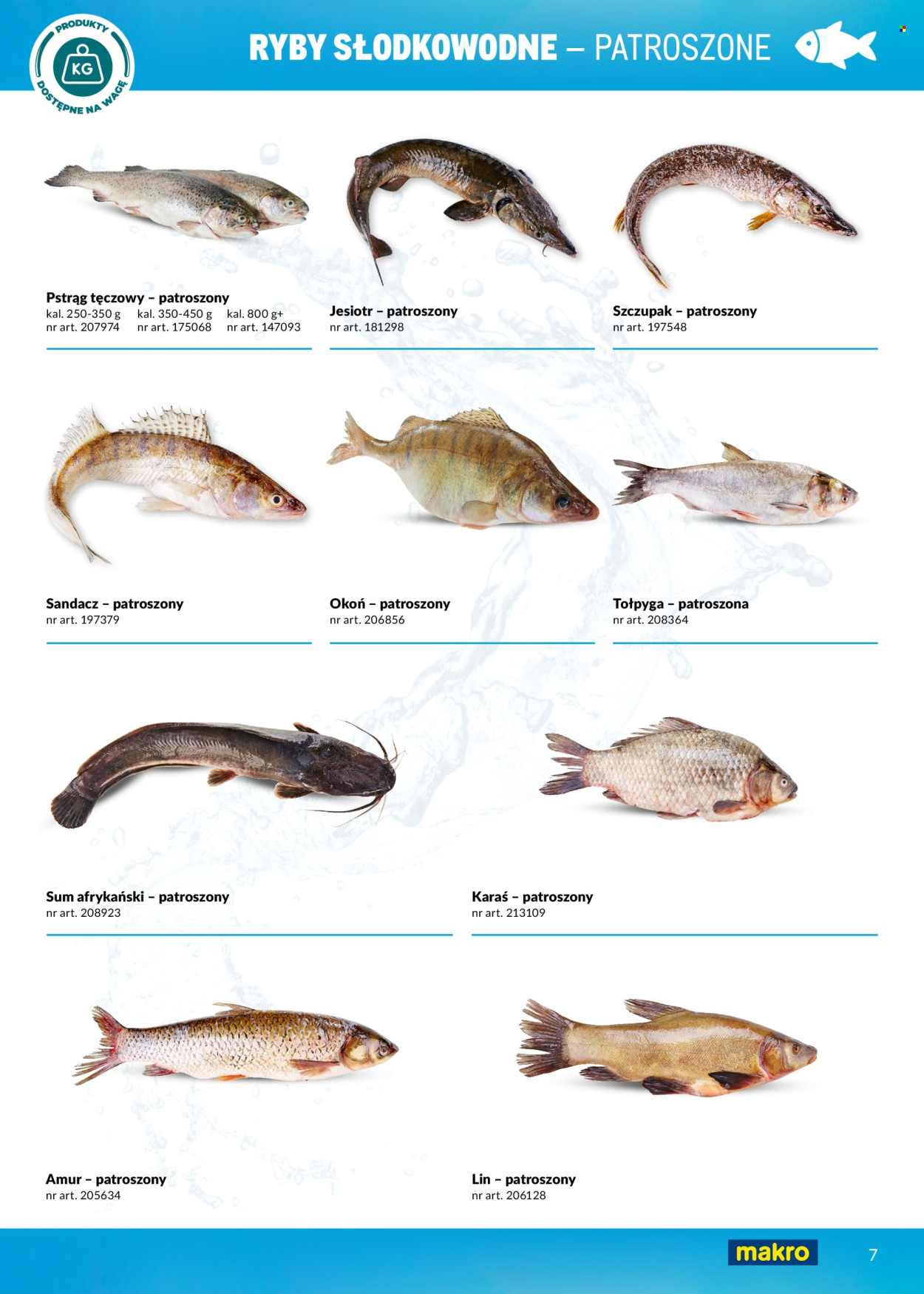 Gazetka Makro. Strona 7