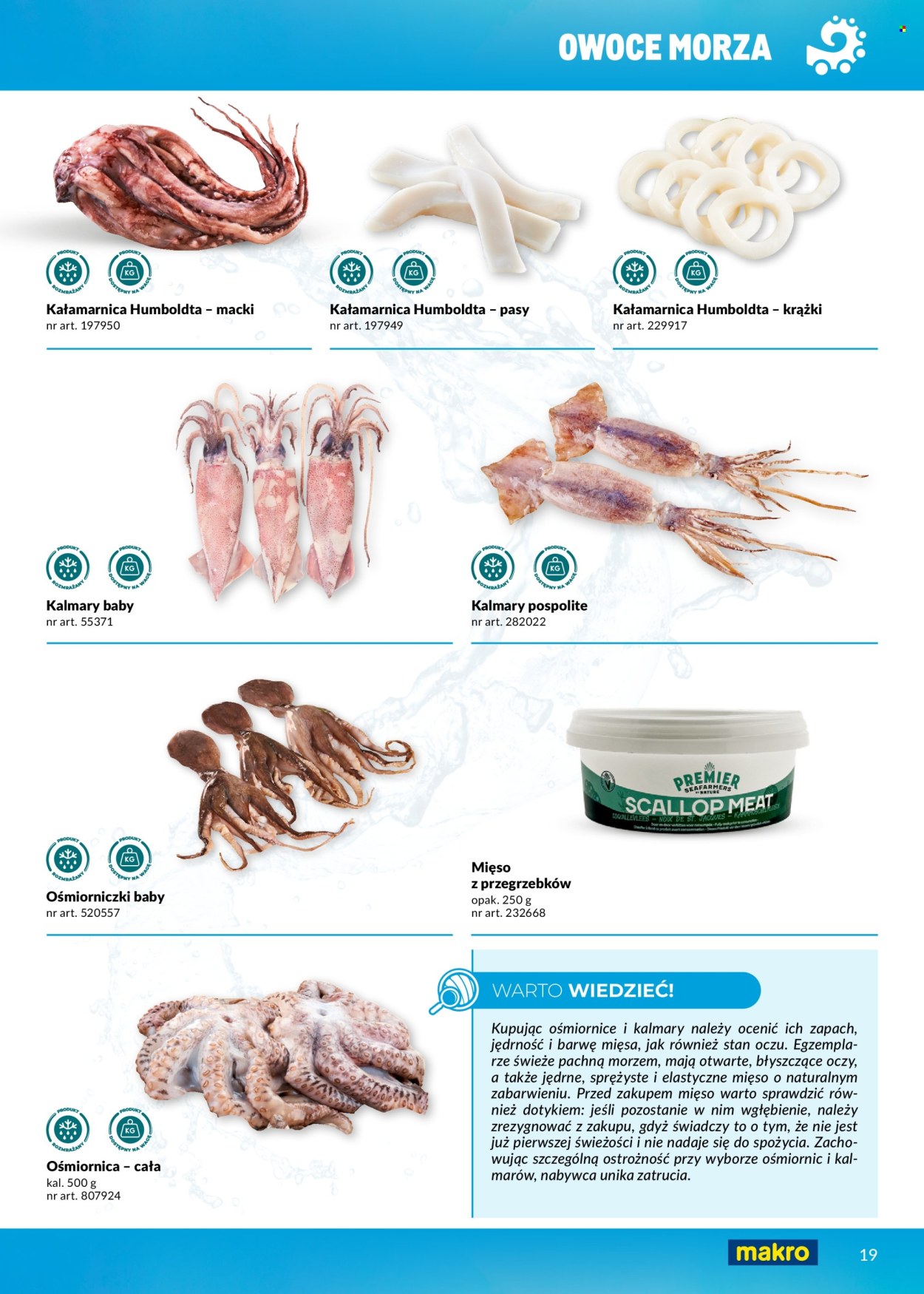 Gazetka Makro. Strona 19