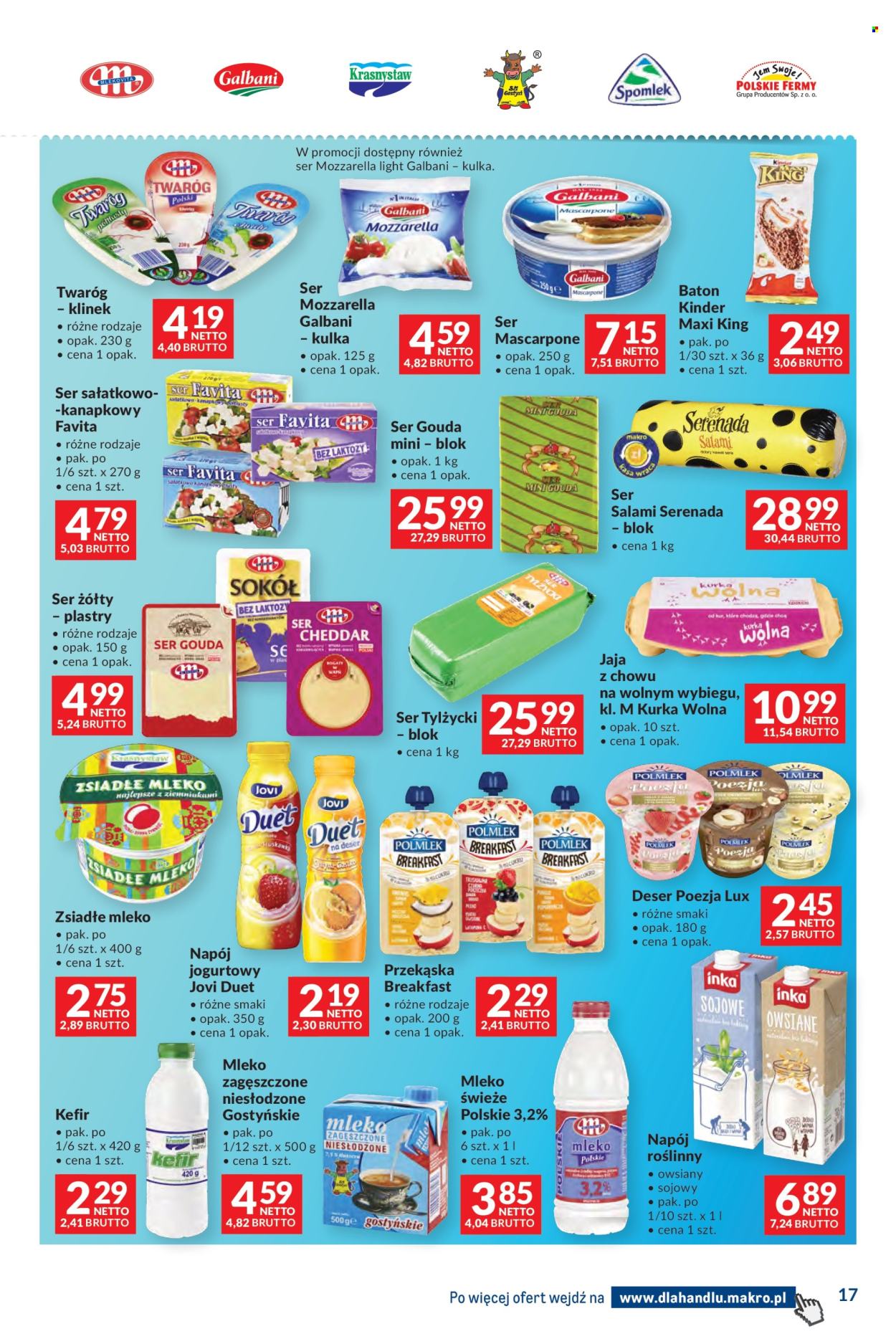 Gazetka Makro - 9.12.2025 - 23.12.2025. Strona 17