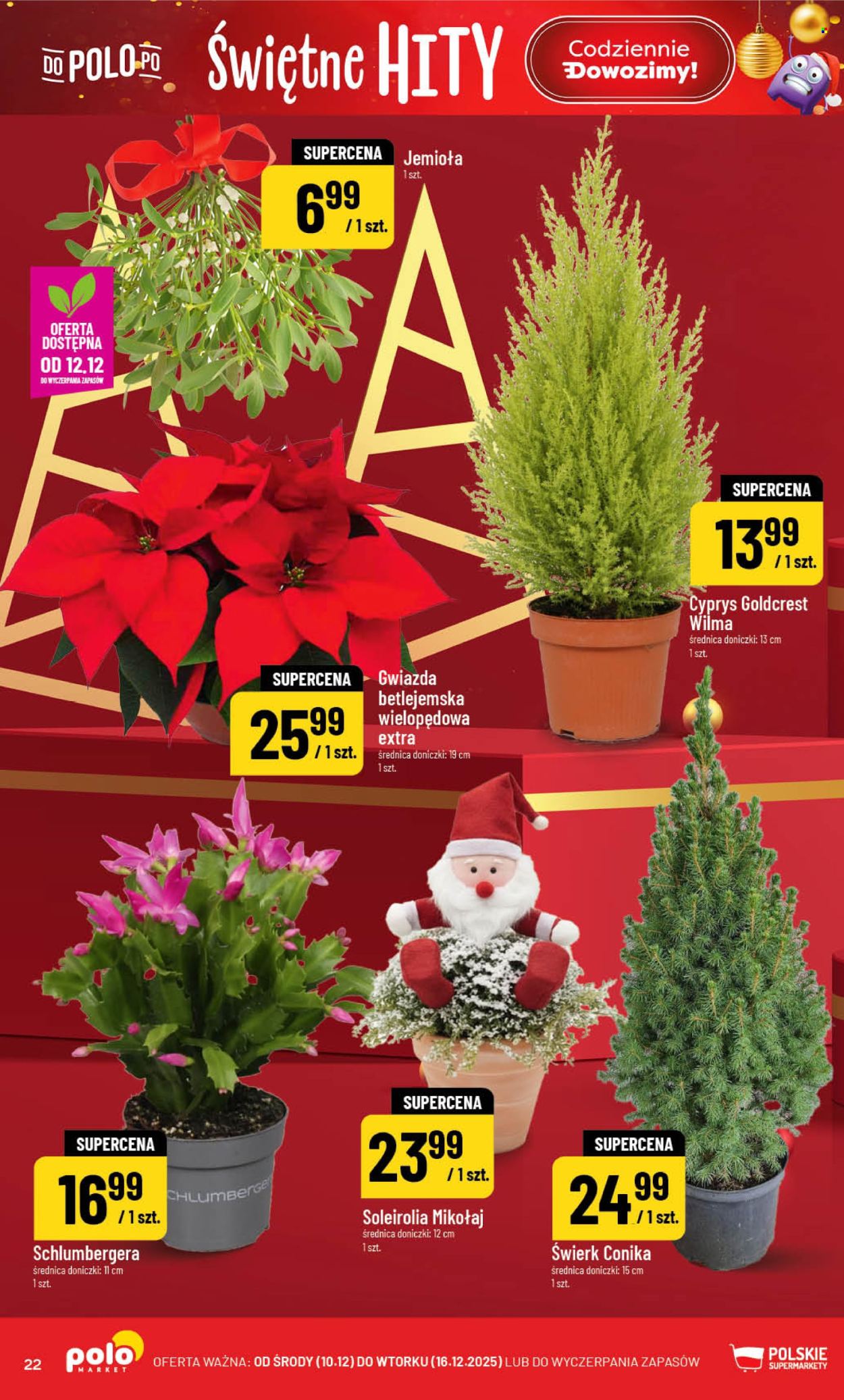 Gazetka Polomarket - 10.12.2025 - 16.12.2025. Strona 22