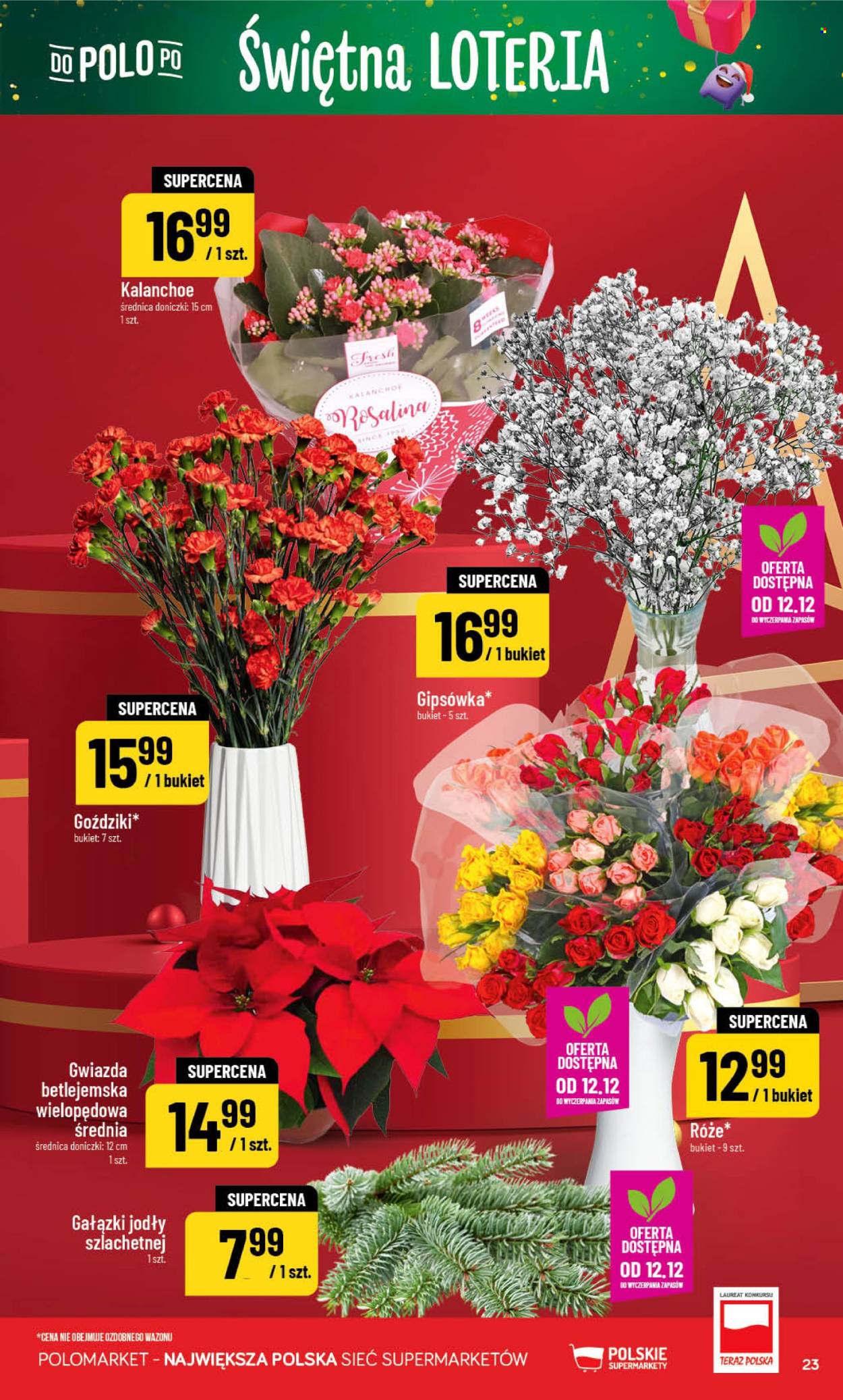 Gazetka Polomarket - 10.12.2025 - 16.12.2025. Strona 23