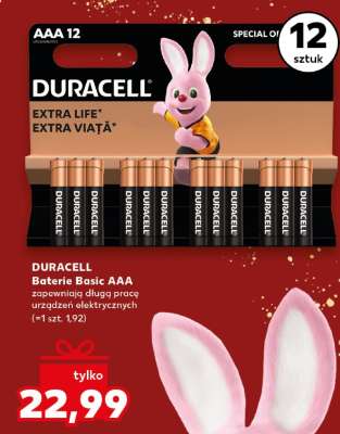 DURACELL Baterie Basic AAA