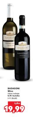 BADAGONI