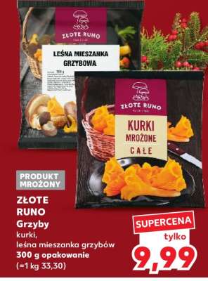 ZŁOTE RUNO Grzyby