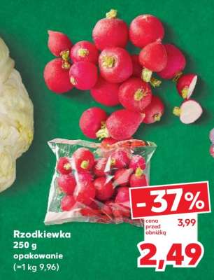 Rzodkiewka