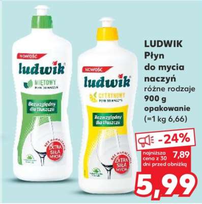 LUDWIK Płyn do mycia naczyń