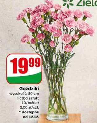 Goździki