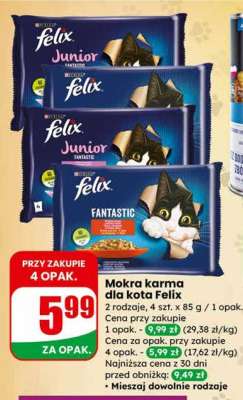 Mokra karma dla kota Felix