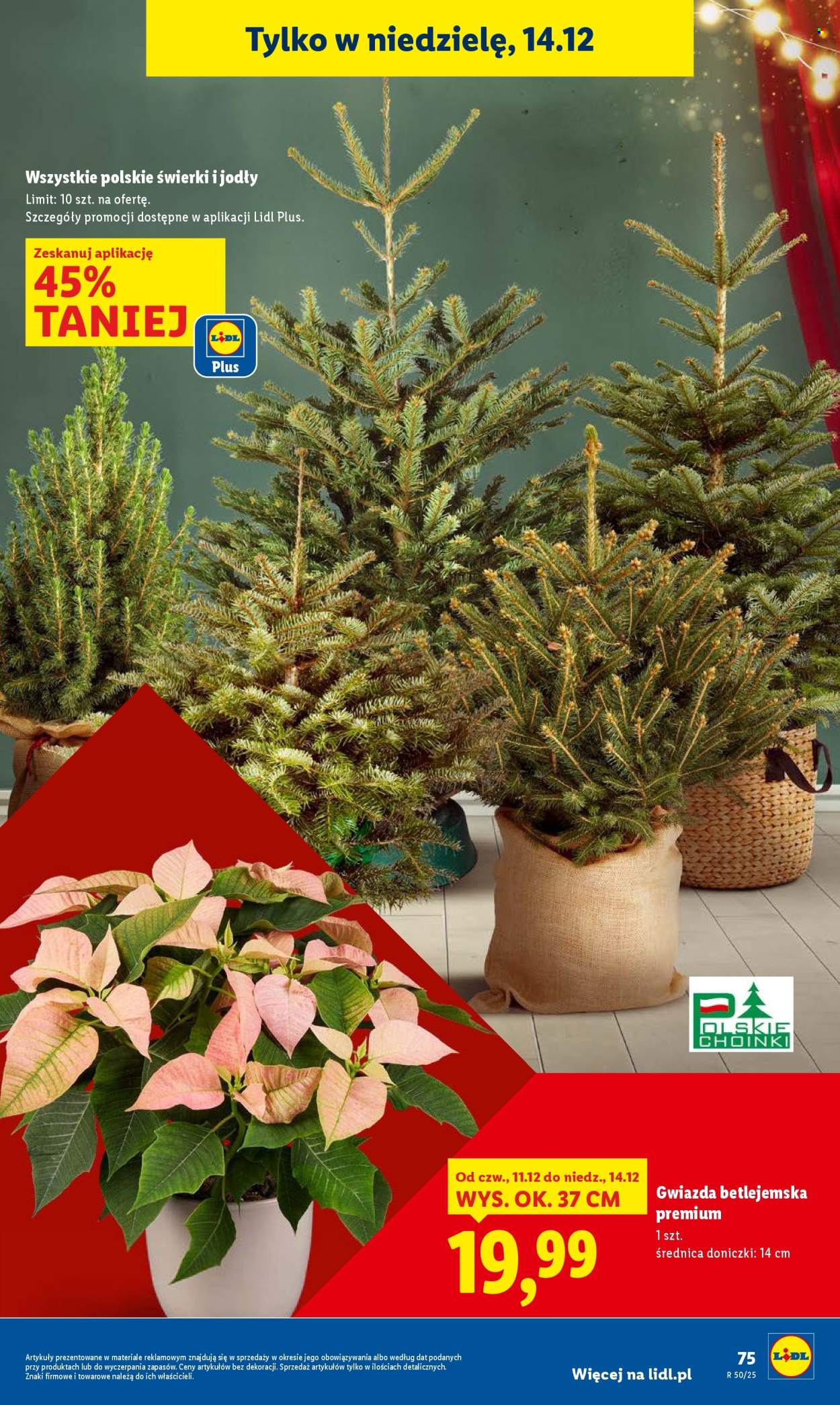 Gazetka Lidl - 11.12.2025 - 14.12.2025. Strona 75