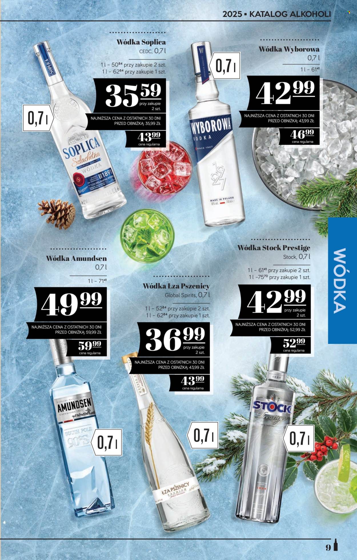 Gazetka Polomarket - 12.12.2025 - 31.12.2025. Strona 9