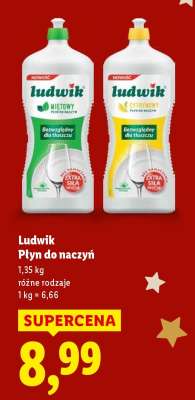 LUDWIK Płyn do naczyń