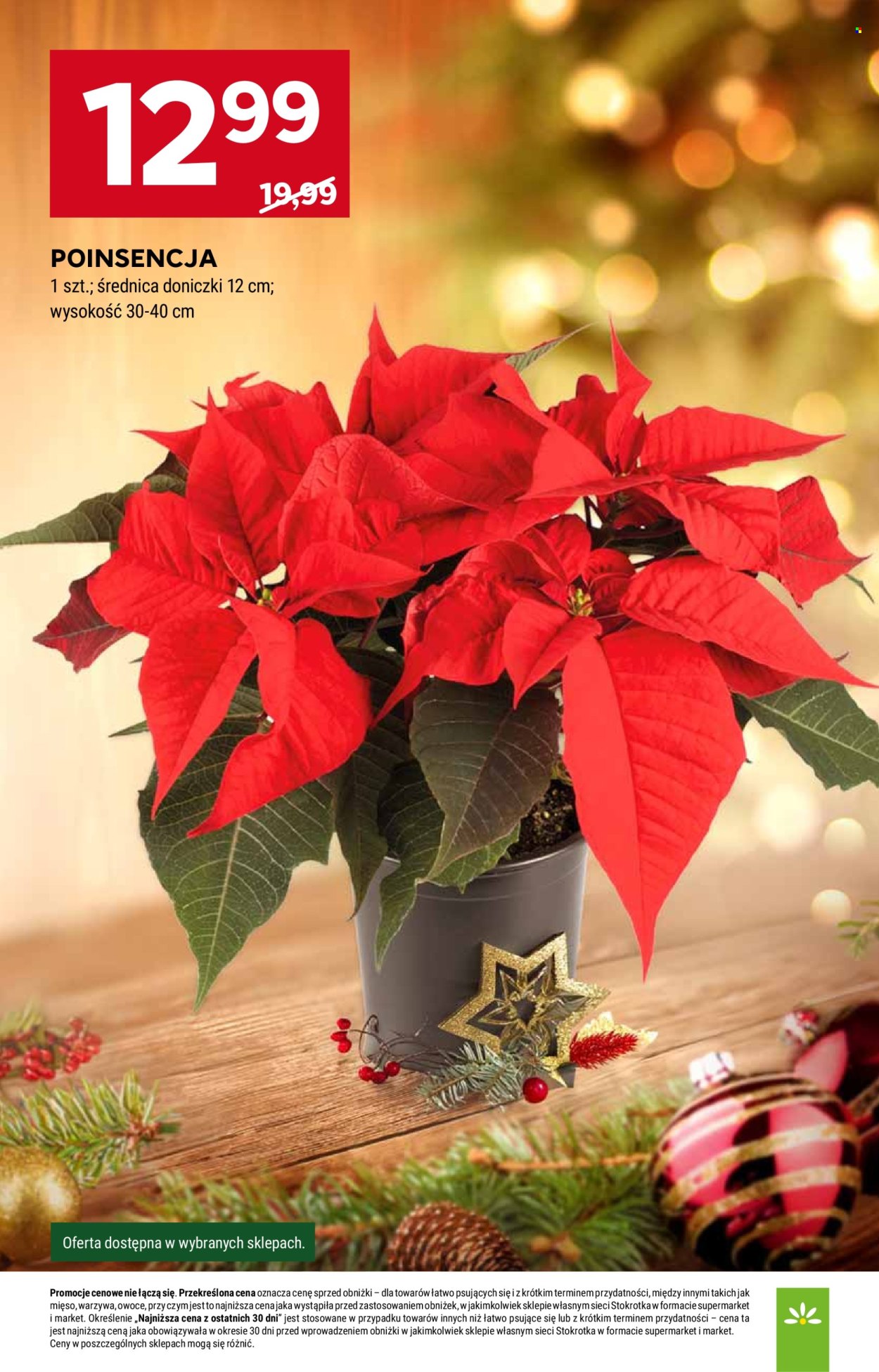 Gazetka Stokrotka Market - 11.12.2025 - 17.12.2025. Strona 5