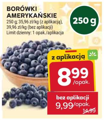 Borówki amerykańskie