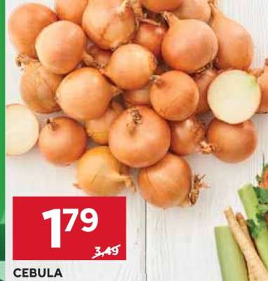 Cebula