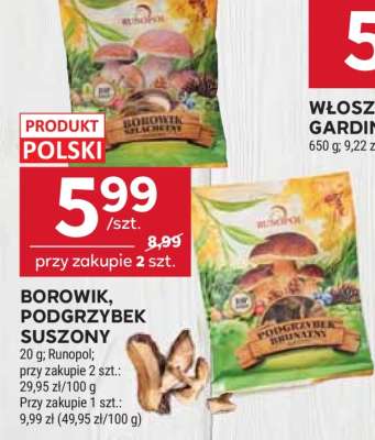 BOROWIK, PODGRZYBEK SUSZONY