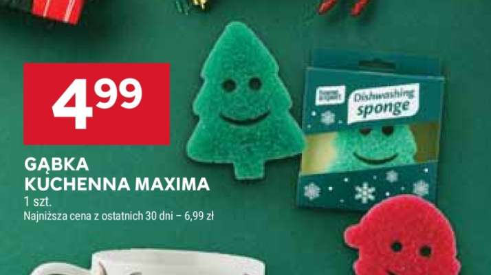 Gąbka kuchenna Maxima