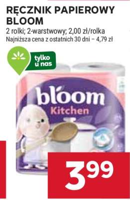 Ręcznik papierowy Bloom