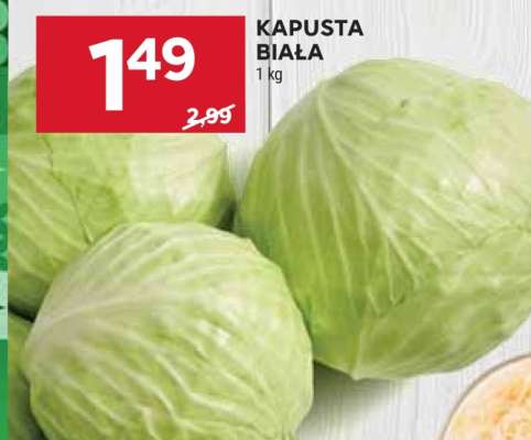 Kapusta biała