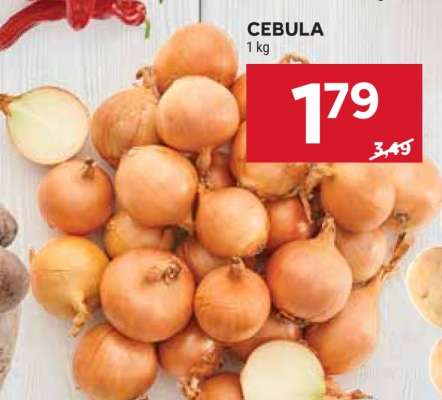 Cebula
