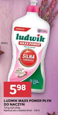 LUDWIK MAXX POWER PŁYN DO NACZYŃ