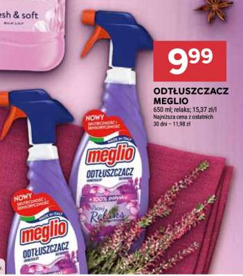 ODTŁUSZCZACZ MEGLIO