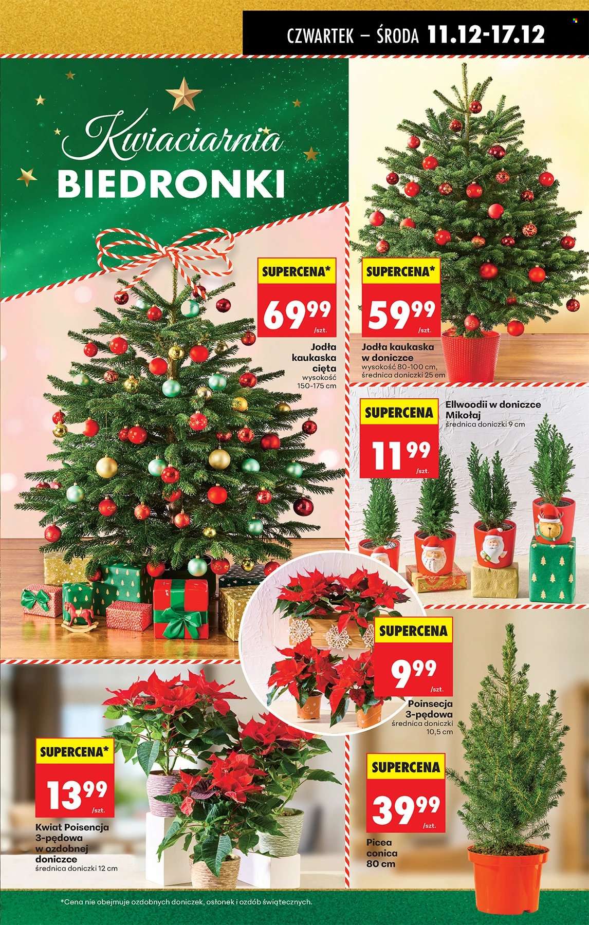 Gazetka Biedronka - 11.12.2025 - 17.12.2025. Strona 21