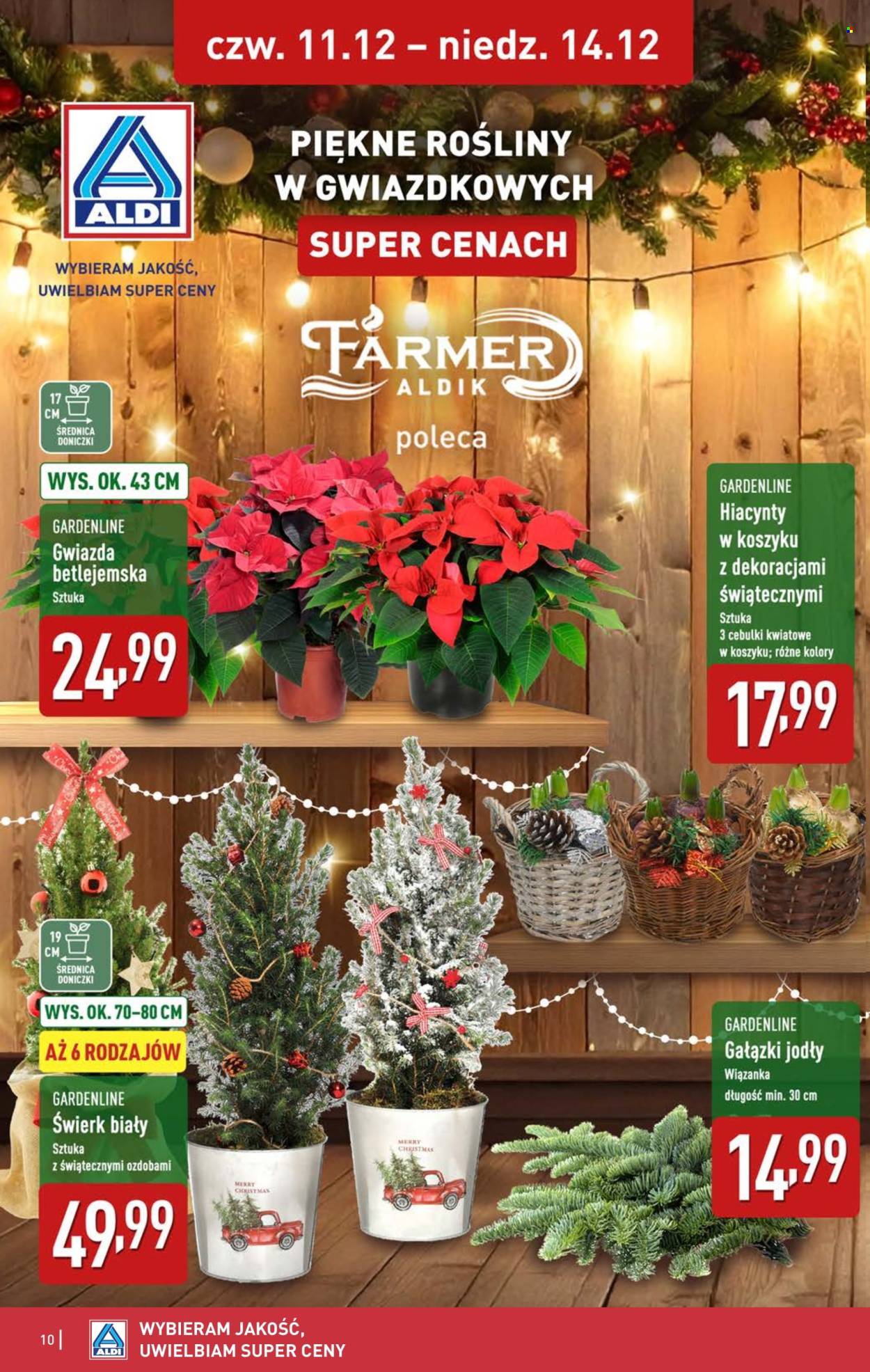 Gazetka ALDI - 11.12.2025 - 14.12.2025. Strona 10