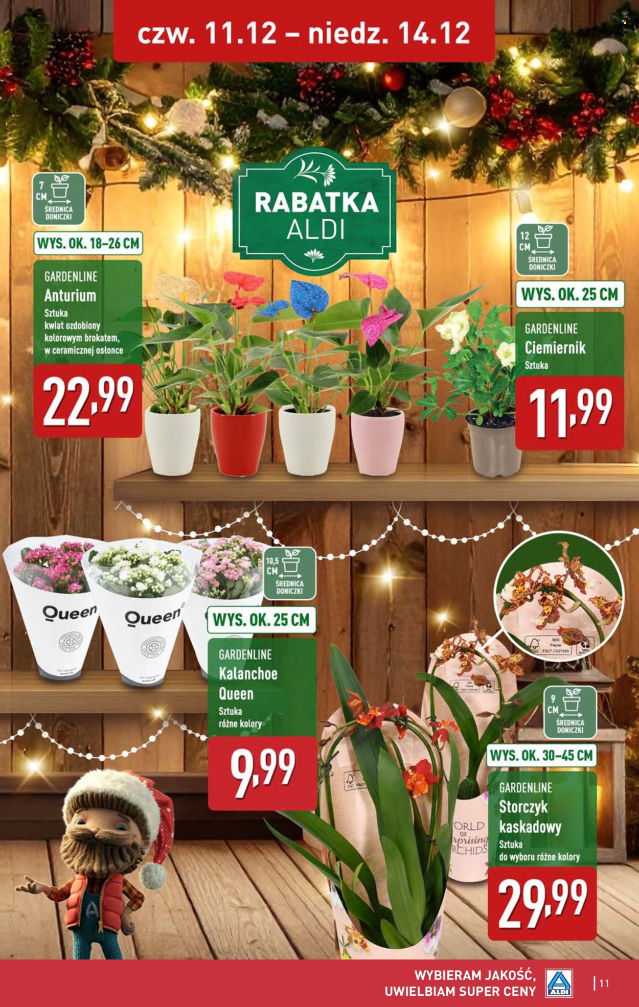 Gazetka ALDI - 11.12.2025 - 14.12.2025. Strona 11