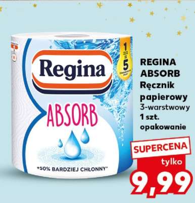 REGINA ABSORB Ręcznik papierowy