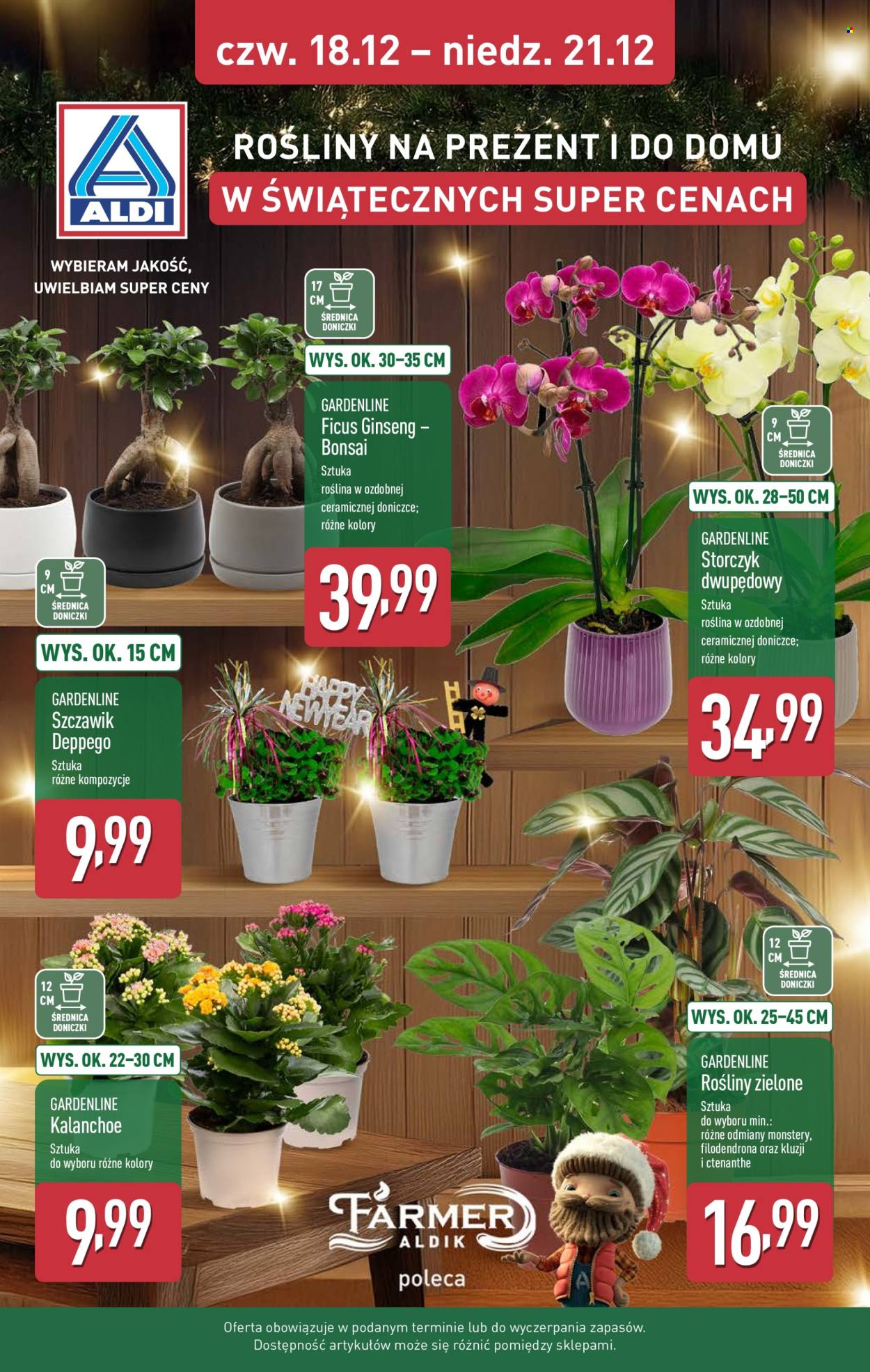 Gazetka ALDI - 15.12.2025 - 21.12.2025. Strona 37