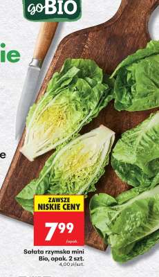 Sałata rzymska mini Bio, opak. 2 szt.