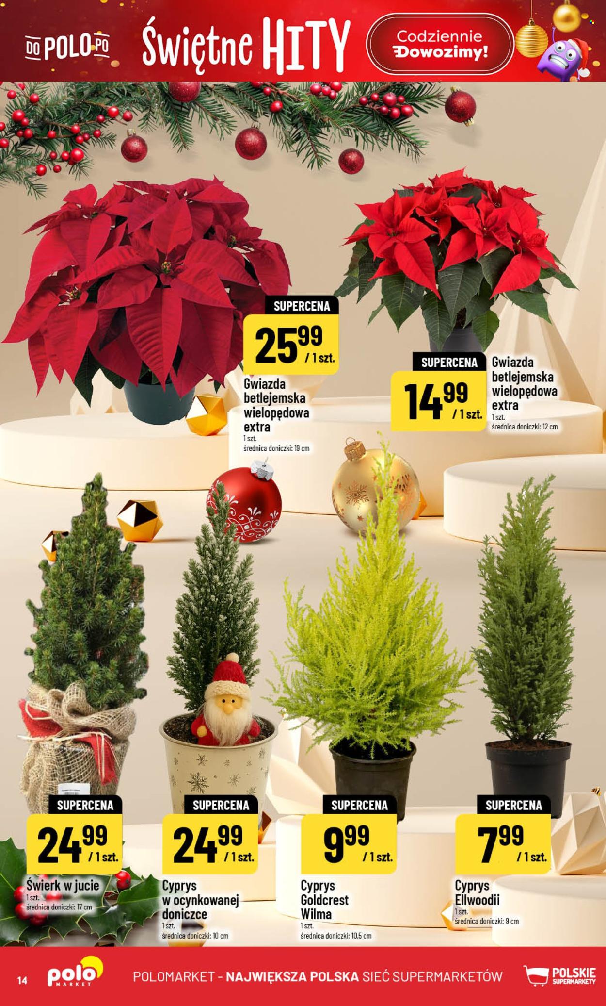 Gazetka Polomarket - 17.12.2025 - 23.12.2025. Strona 14