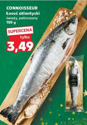 CONNOISSEUR Łosoś atlantycki