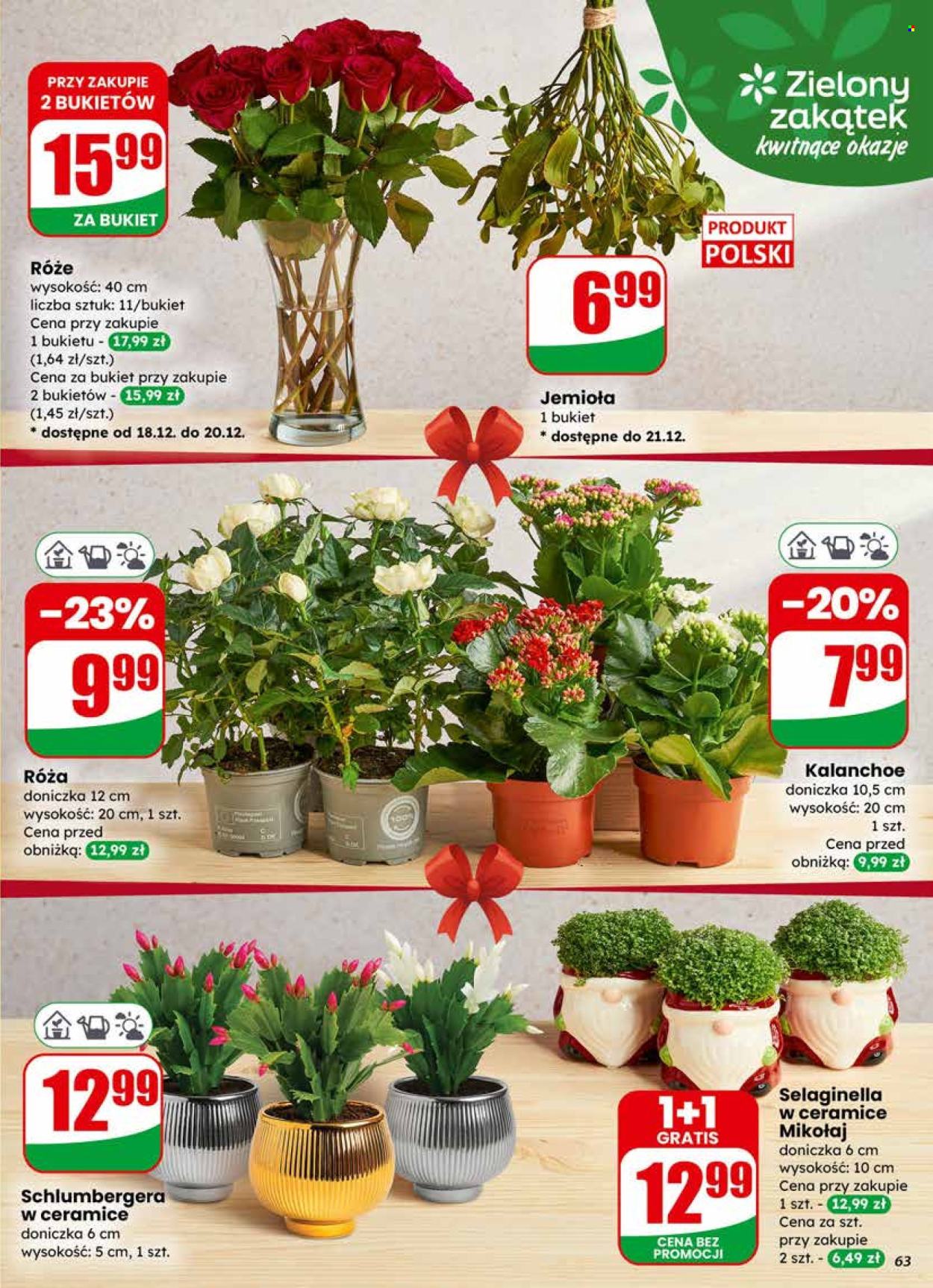 Gazetka Dino - 17.12.2025 - 23.12.2025. Strona 63