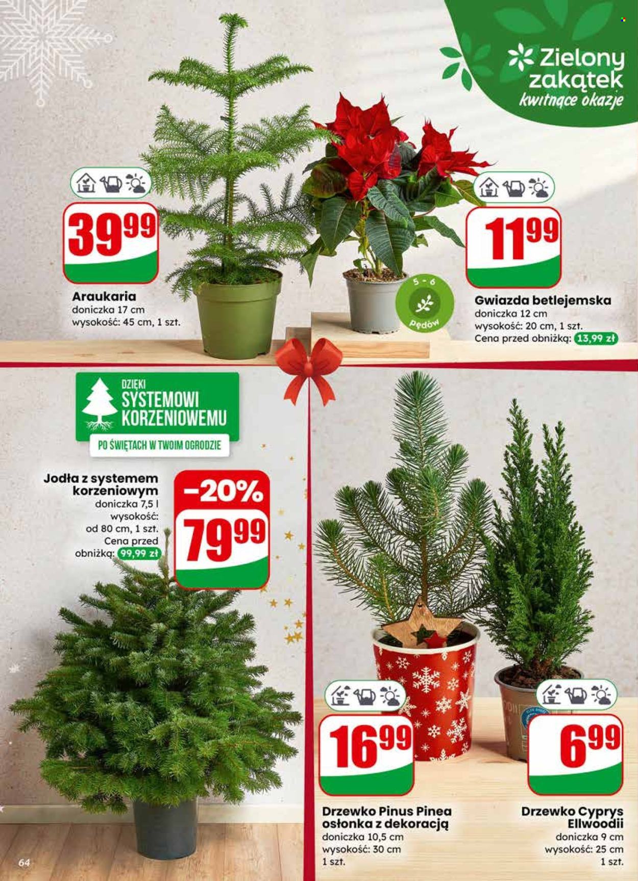 Gazetka Dino - 17.12.2025 - 23.12.2025. Strona 64