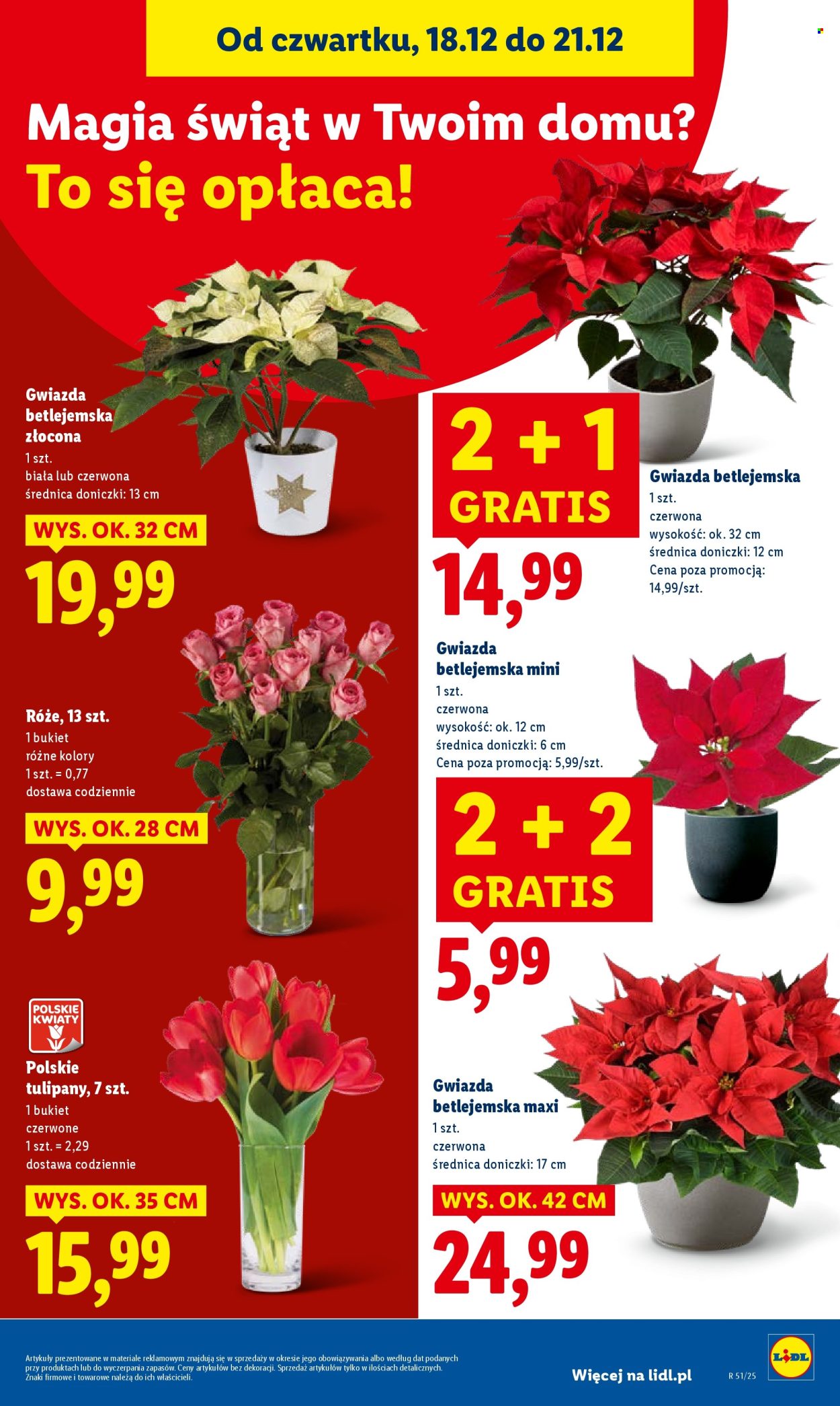 Gazetka Lidl - 18.12.2025 - 21.12.2025. Strona 33