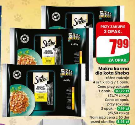 Mokra karma dla kota Sheba