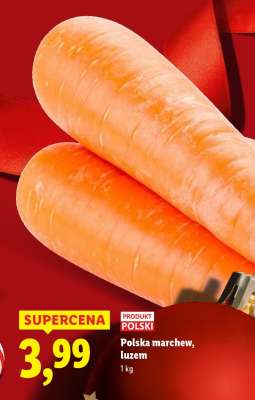 Polska marchew, luzem
