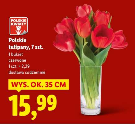Polskie tulipany, 7 szt.