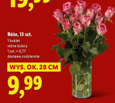 Róże, 13 szt.