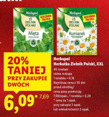 Herbapol Herbatka Zielnik Polski, XXL