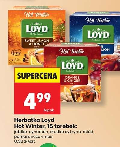 Herbatka Loyd Hot Winter, 15 torebek
