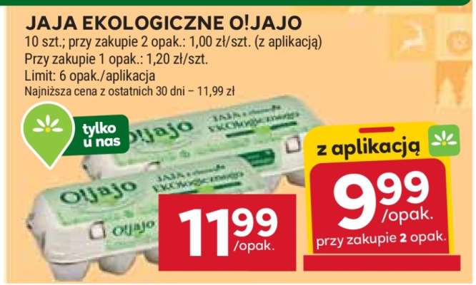 Jaja ekologiczne O!jajo
