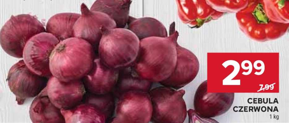 Cebula czerwona