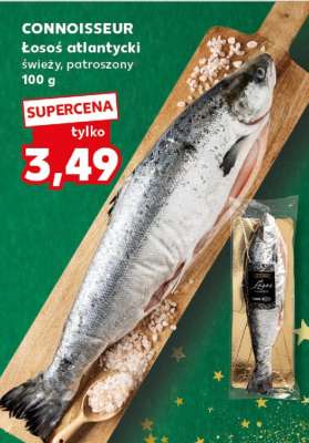 CONNOISSEUR Łosoś atlantycki