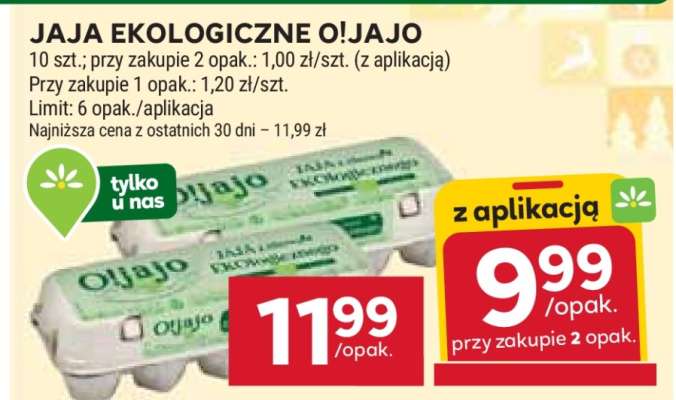 Jaja ekologiczne O!jajo